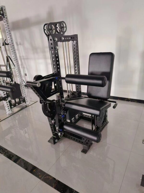 Leg extension curl Pro