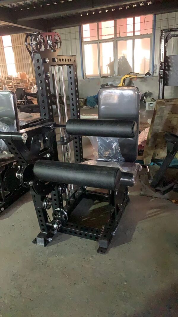 Leg extension curl Pro