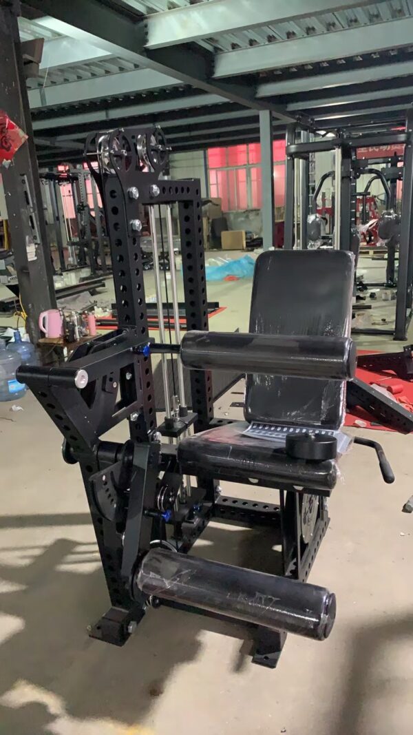 Leg extension curl Pro