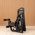 Leg extension curl Pro Easy